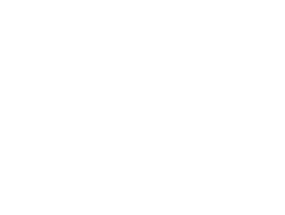 Bundesliga